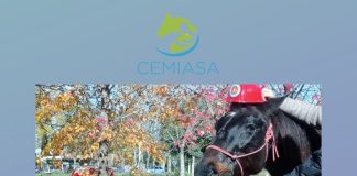 CEMIASA celebró el Día de los Bomberos Voluntarios con actividades terapéuticas y recreativas