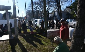 Jornada de castración masiva en Del Carril