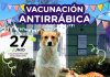 Realizarán una jornada de vacunación antirrábica gratuita en Saladillo Norte