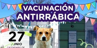 Realizarán una jornada de vacunación antirrábica gratuita en Saladillo Norte
