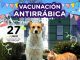 Realizarán una jornada de vacunación antirrábica gratuita en Saladillo Norte