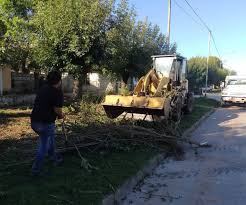 descarga (3)