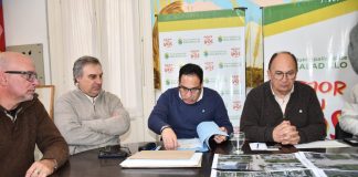 Abrieron los sobres para la construcción de la Avenida Ibáñez Frocham