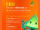 CESTEL incorpora CESi, una asistente virtual para agilizar gestiones de usuarios