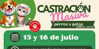 Polvaredas será sede de una nueva jornada de castración masiva y gratuita para perros y gatos
