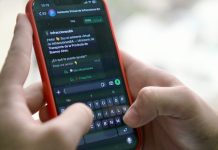 Con solo el DNI o la patente: la Provincia lanzó un asistente virtual para consultar infracciones en segundos