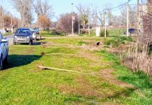 Realizan trabajos de forestación en Saladillo Norte