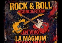 Rock & Roll: tres bandas se presentan en el Galpón Cultural
