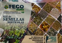 El programa Huerta en Casa llegó a Del Carril con una capacitación y entrega de semillas