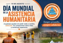 Día Mundial de la Asistencia Humanitaria: un homenaje a quienes ayudan en cada emergencia