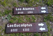 Realizan trabajos de relevamiento y pintura de cartelería en el barrio Los Troncos