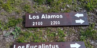 Realizan trabajos de relevamiento y pintura de cartelería en el barrio Los Troncos