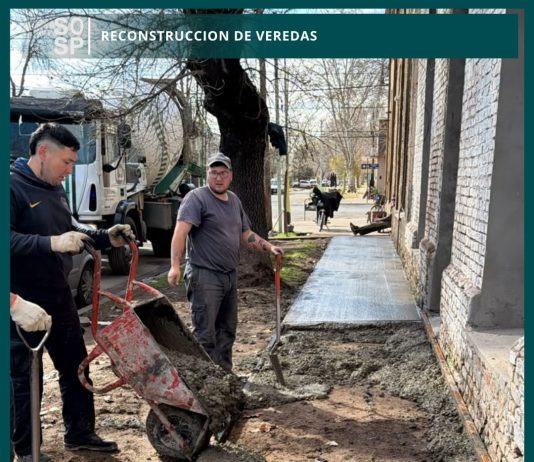 Reconstrucción de veredas: trabajos coordinados para mejorar la infraestructura urbana