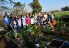 La Escuela Primaria N° 5 se prepara para celebrar sus 150 años y mostró su proyecto de huerta