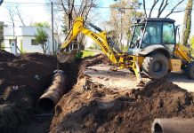 Se realizará la vigésima séptima jornada de castración masiva gratuita