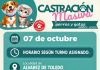 Realizarán una nueva jornada de castración masiva en Álvarez de Toledo