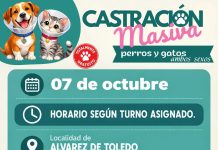 Realizarán una nueva jornada de castración masiva en Álvarez de Toledo