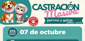 Realizarán una nueva jornada de castración masiva en Álvarez de Toledo