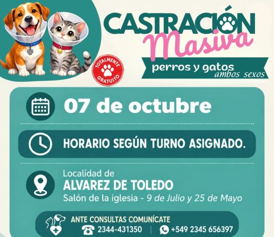 Realizarán una nueva jornada de castración masiva en Álvarez de Toledo
