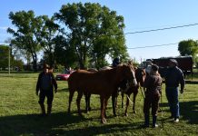 Los Gauchos Peregrinos de la Capilla de Fátima iniciaron una nueva cabalgata