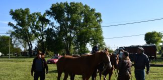 Los Gauchos Peregrinos de la Capilla de Fátima iniciaron una nueva cabalgata