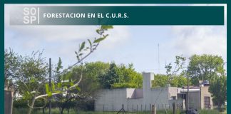 Plantaron 15 ejemplares de árboles nativos en el predio del CURS